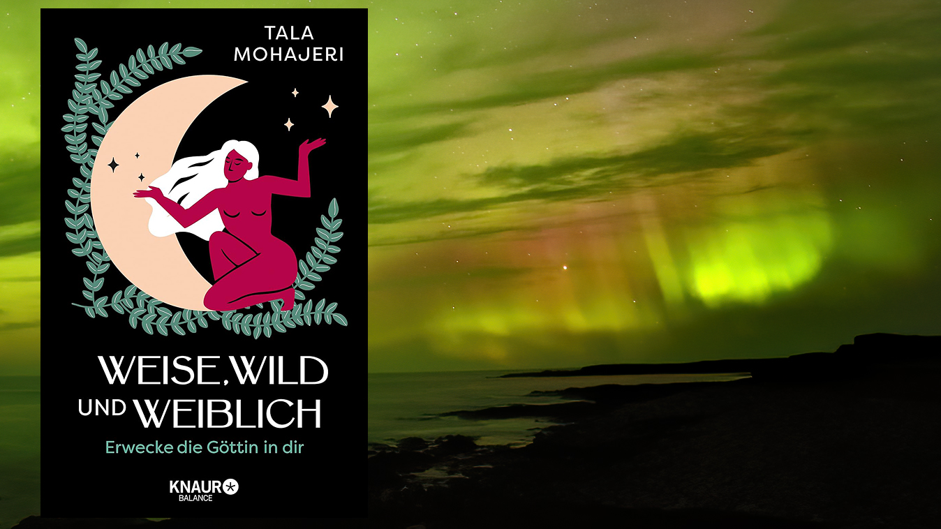 Tala Mohajeri - Weise, wild und weiblich - Buch
