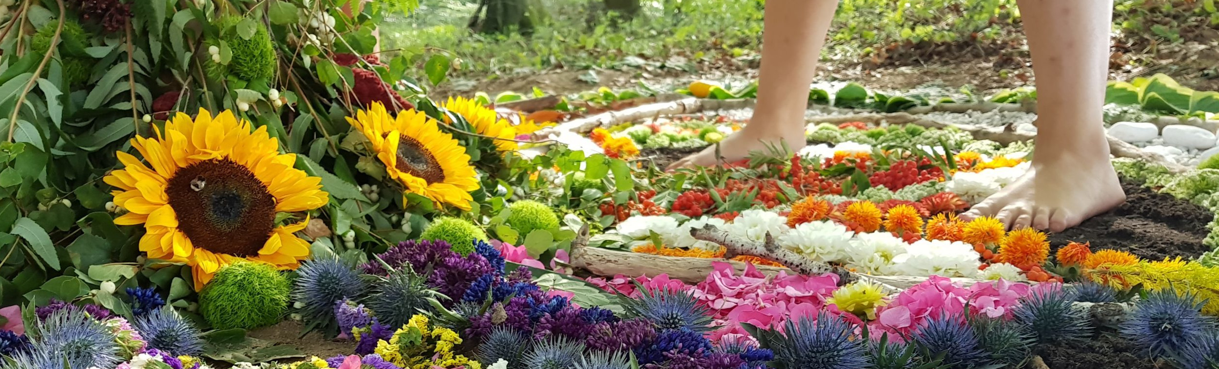 Tala Mohajeri ist Heilpraktikerin, Life-Coach und Autorin mit einer Waldheilpraxis südlich von Hamburg.