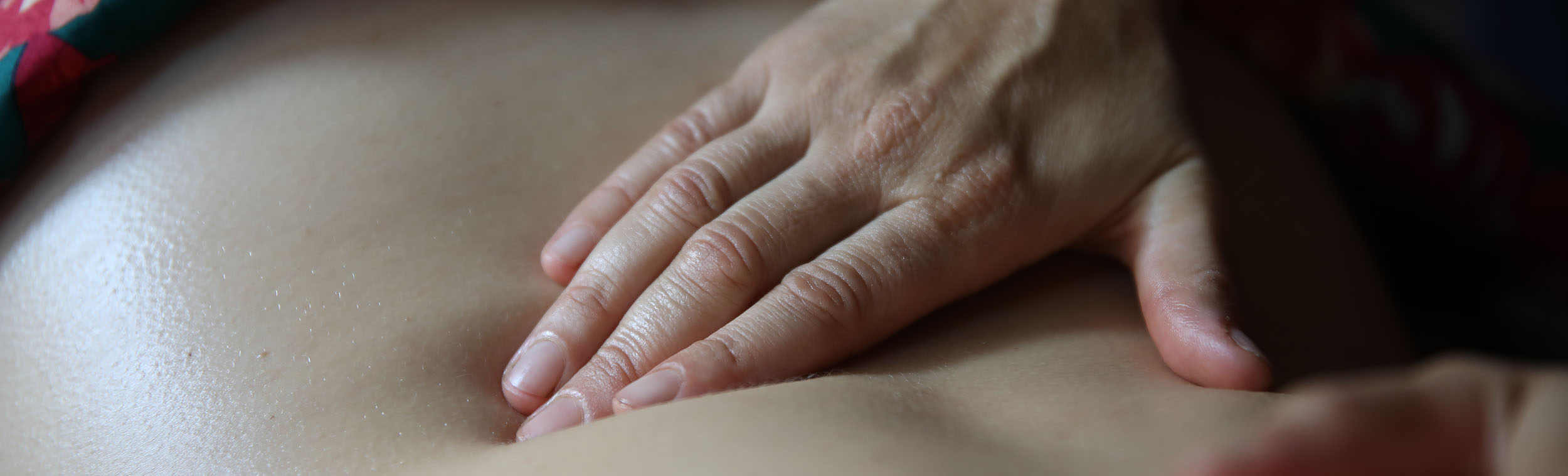 Tala Mohajeri ist Heilpraktikerin, Life-Coach und Autorin mit einer Waldheilpraxis südlich von Hamburg.